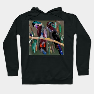 Bol;d coloured cockatoos Hoodie